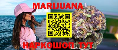 сатива Будённовск