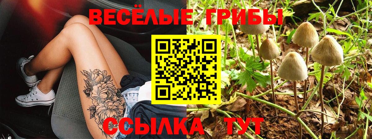 Тейково  Галлюциногенные грибы мухоморы  Вход с VPN  Псилоцибиновые грибы Magic Shrooms 