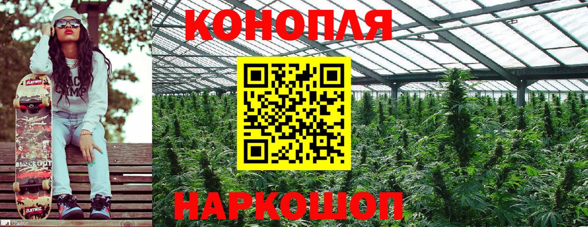 Конопля семена  Бошки марихуана LSD WEED  МАРИХУАНА OG Kush  Тейково  Вход с VPN  Канабис AK-47 